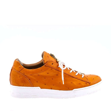Mauri 8825/2 Ostrich Sneaker - Tangerine