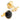 Gold and Onyx 5-Stud Set