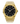 Paul Rich US Frosted Star Dust II Gold Watch