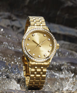 Paul Rich US Crystelle All Gold Luxury Watch