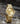 Paul Rich US Crystelle All Gold Luxury Watch in #color_