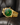 Paul Rich US Legacy Gold Aventurine Green Watch