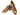 Paul Parkman Men's Floater Leather Sneakers in Cognac