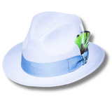 Ferrecci Brooks in Sky Blue Australian Wool Felt Trilby