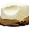 Sebastian Collection in Natural Brown Cognac #color_ Natural Brown Cognac