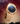 Paul Rich US Star Dust II Sahara Sunrise Watch