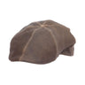 Stetson Regal Antique Leather Ivy Cap in Brown #color_ Brown