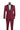 Vinci Burgundy Slim Fit 2 Piece Tuxedo - T-SS