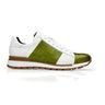 Belvedere Blake in Lime / White Color Block Exotic Skin Sneakers in Lime White