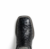 Alabama In Black
