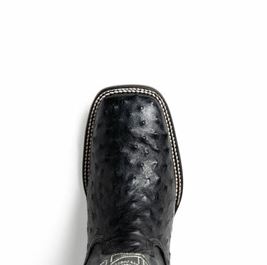 Alabama In Black