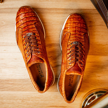 Alonzo In Cognac