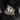 The Apex - Panda in #color_