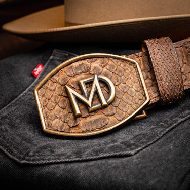 Arkansas In Brown