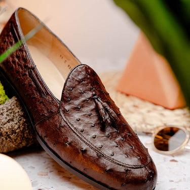Aubiere In Brown