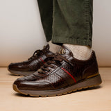 Brescia In Brown
