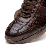 Brescia In Brown