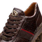 Brescia In Brown