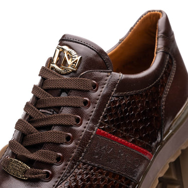 Brescia In Brown