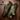 Crater In Rustic Olive in #color_