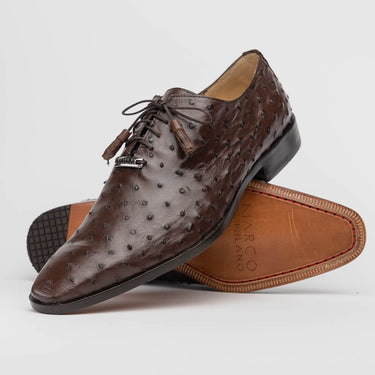 Criss In Brown in Brown