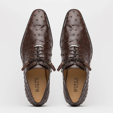 Criss In Brown