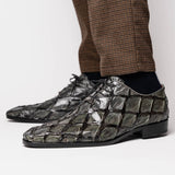 Olivieri In Gray