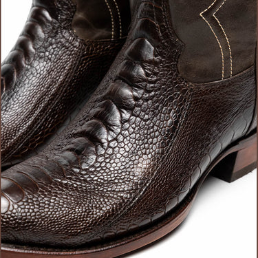 Denver In Brown