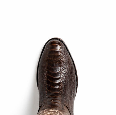 Denver In Clear Brown