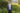 Foyer Floral Men's Tie