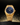 Paul Rich US Frosted Star Dust II Gold Watch