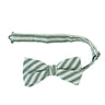 Juniper Stripe Men's Pre-tied Bow Tie