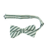 Juniper Stripe Men's Pre-tied Bow Tie