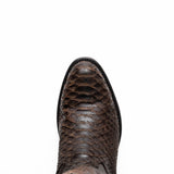 Kansas In Brown