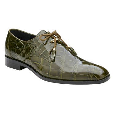 Belvedere Lago in Olive