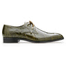Belvedere Lago in Olive