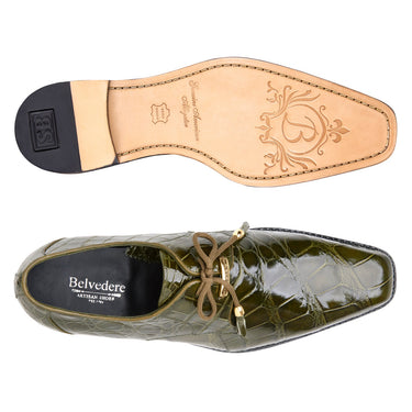 Belvedere Lago in Olive