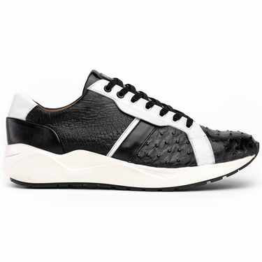 Lyon In Black / White