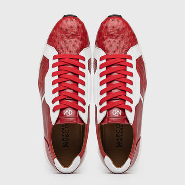 Lyon In Red / White