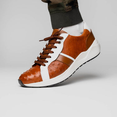 Lyon In Brandy / White