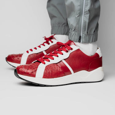 Lyon In Red / White