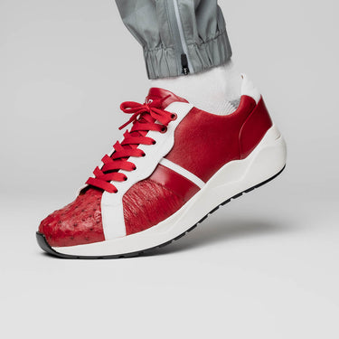 Lyon In Red / White