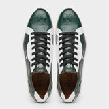 Lyon In Green / White