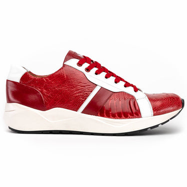 Lyon In Red / White