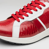Lyon In Red / White