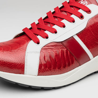 Lyon In Red / White