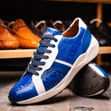 Lyon In Blue / White
