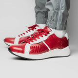 Lyon In Red / White