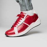 Lyon In Red / White