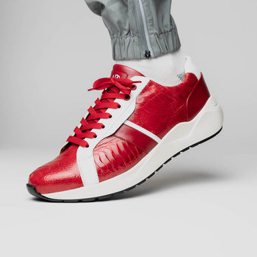 Lyon In Red / White